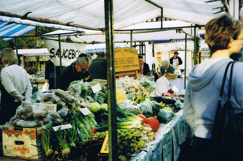 Mehr at her stall