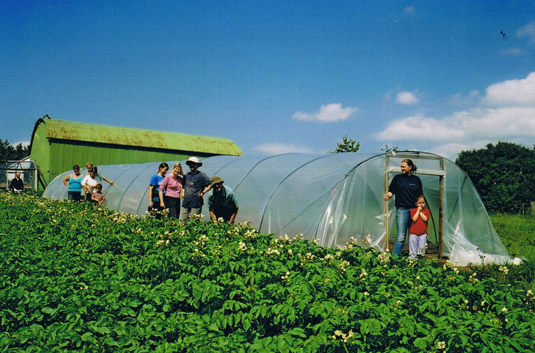 polythene structure and barn