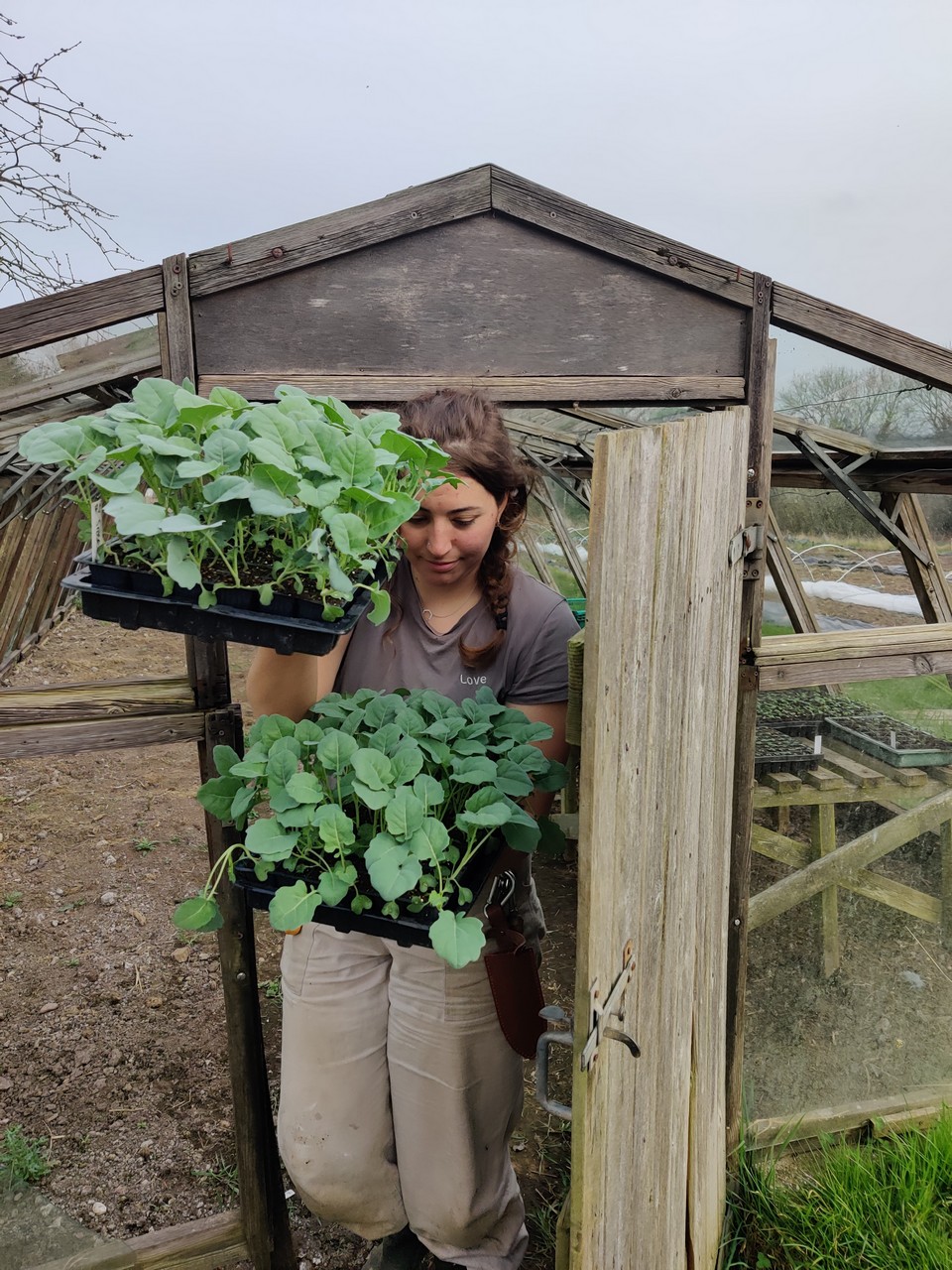 Valentina holding trays of seedlings